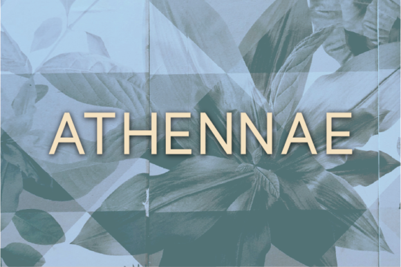 Athennae: The Minimal Sans Serif Font for Polished Branding