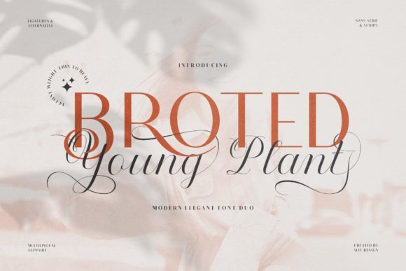 Broted Young Plant: A Fresh Typeface for Modern Brand Identity