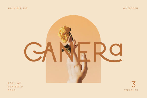 Canera Typeface: Elevating Digital Readability and Brand Tone