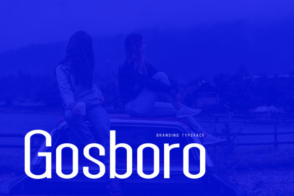 Gosboro: The Minimal Sans Serif Font for Polished Brand Identity