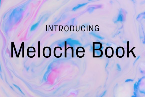 Meloche Book: A Grotesque Typeface for Modern Web Design
