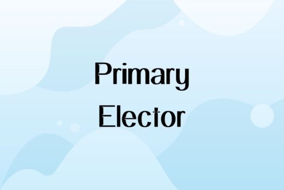 Primary Elector: A Warm Sans Serif for Authentic Brand Identity