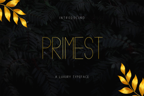 Primest Typeface Review: Minimalist Sans Serif for Modern Brand Identity