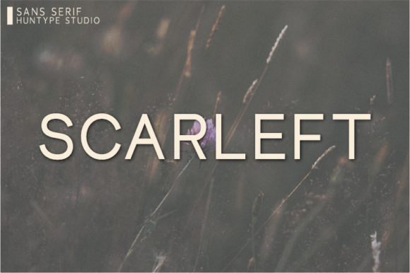 Scarleft Typeface: The Versatile Sans Serif for Clear Campaign Design