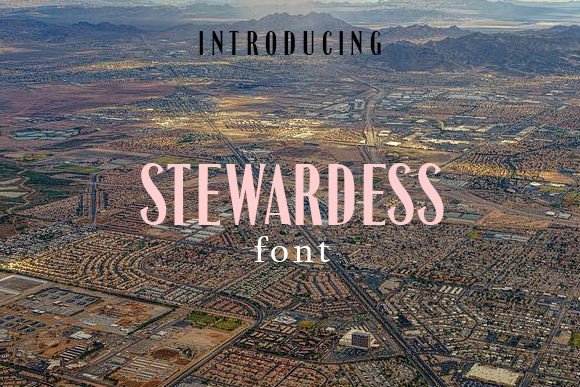Stewardess: A Designer’s Review for Real-World Branding