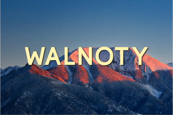 Walnoty: The Minimal Sans Serif Font for Clean Editorial Design